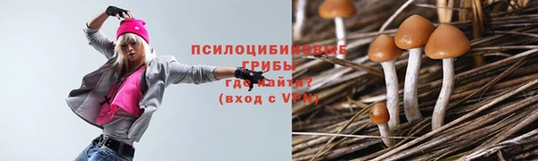 тгк Магас