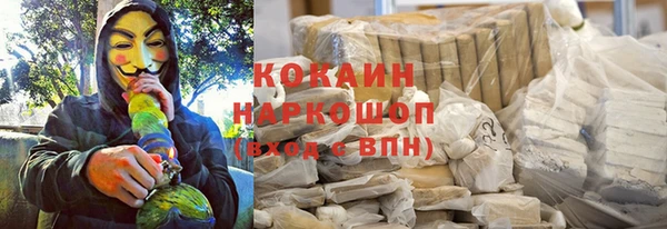 тгк Магас