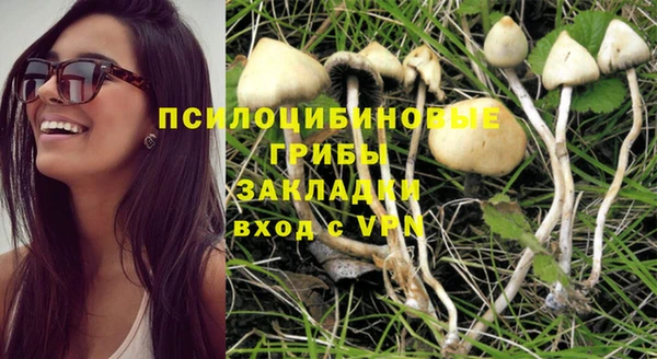 тгк Магас